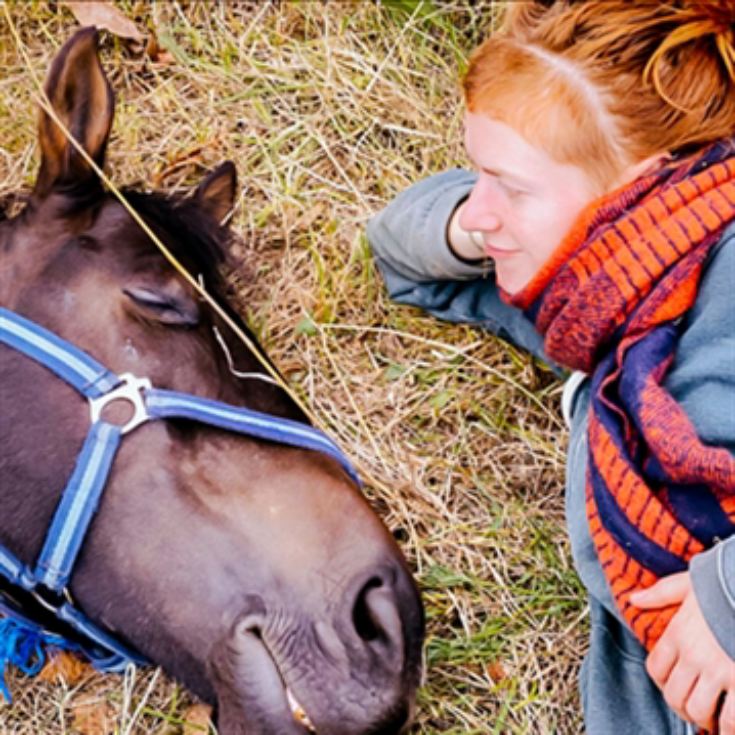 Meditation with Horses for Two in the Lake District product image