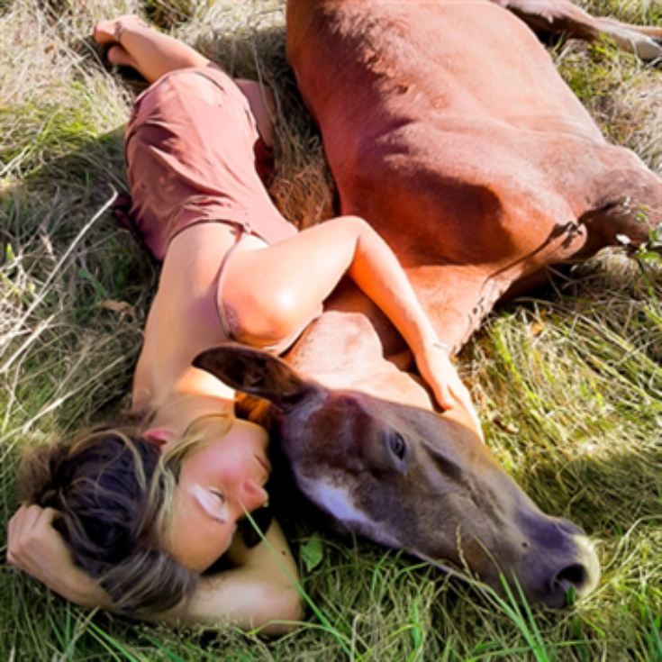 Meditation with Horses for Two in the Lake District product image