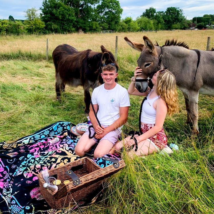 Donkey Picnic for Two at Dashing Donkeys product image