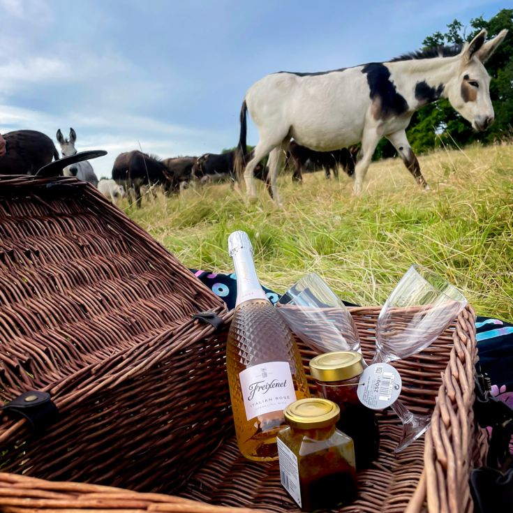 Donkey Picnic for Two at Dashing Donkeys product image