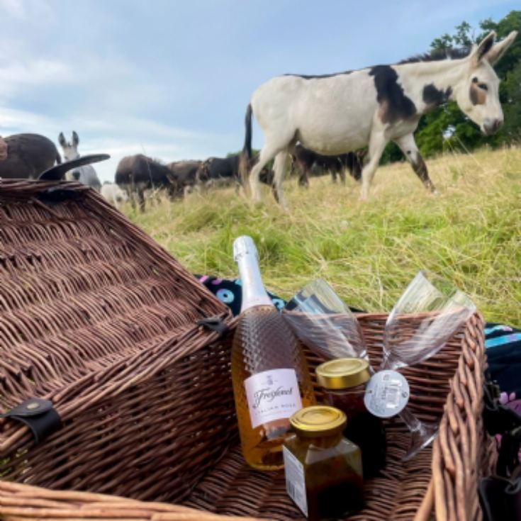 Donkey Picnic for Two at Dashing Donkeys product image