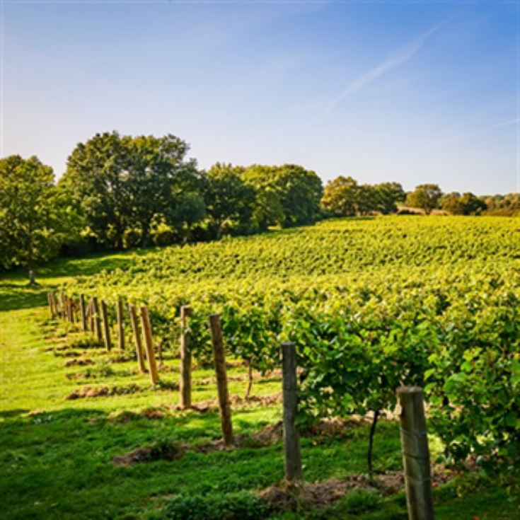 Cheese and Wine Tasting for Two with Chapel Down Vineyard product image