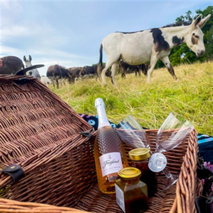 Donkey Picnic for Four at Dashing Donkeys product image