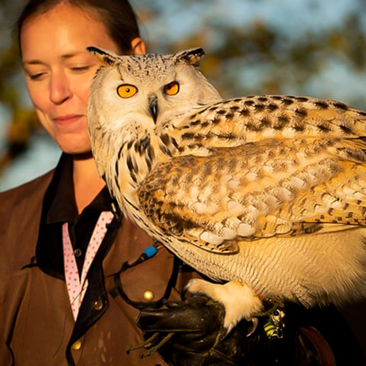VIP Experience for Two at Eagle Heights Wildlife Foundation product image