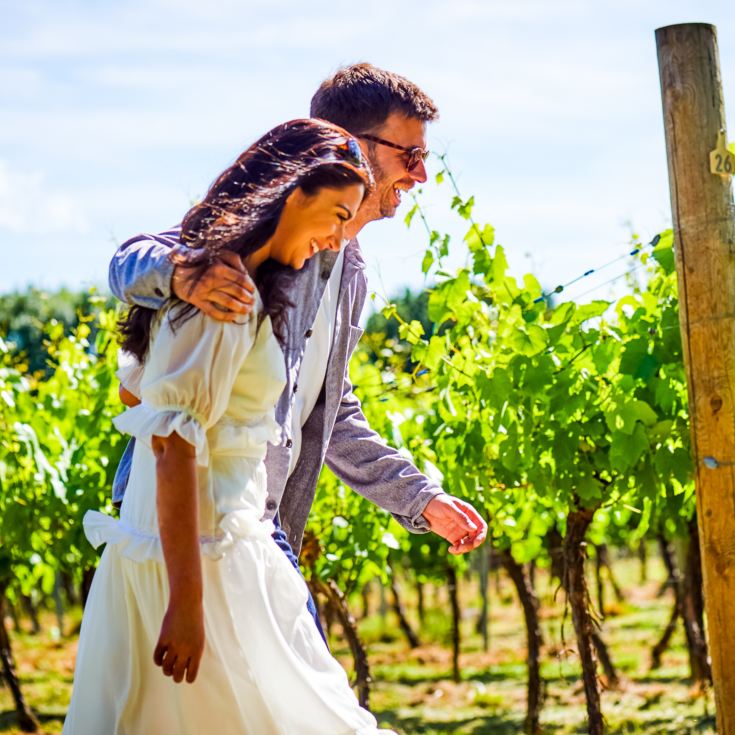 Tour and Tasting for Two at Chapel Down Vineyard product image