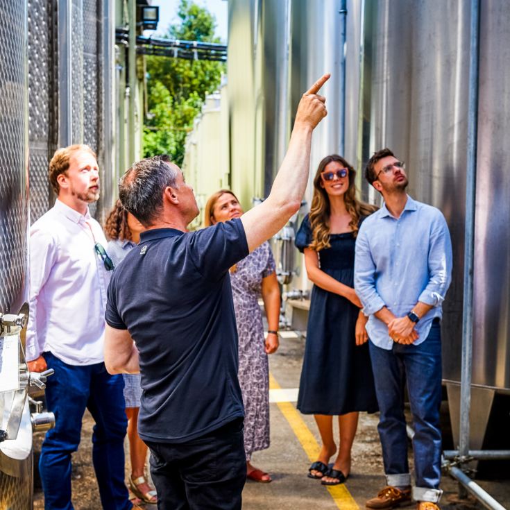 Tour and Tasting for Two at Chapel Down Vineyard product image