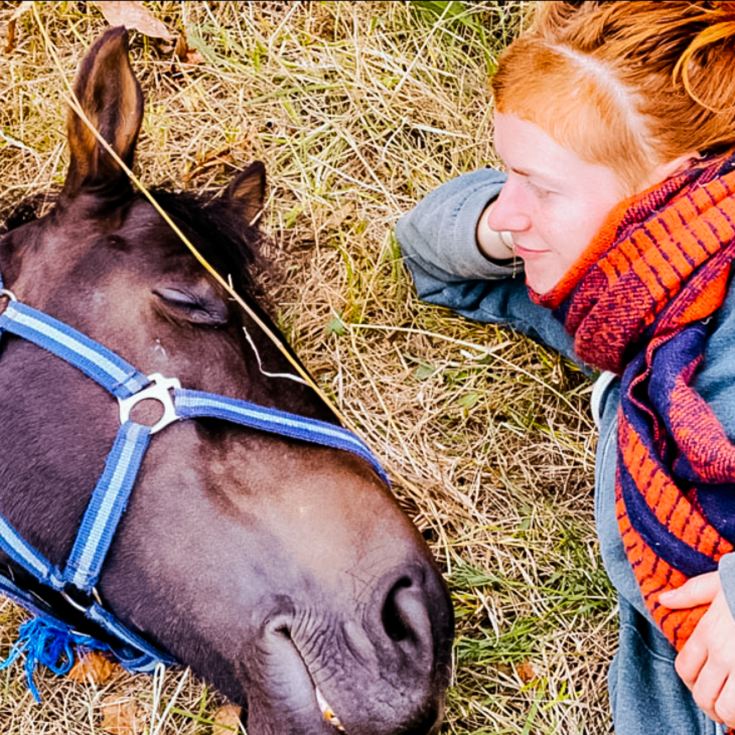 2 Hour Private Meditation Session with Horses for Two product image