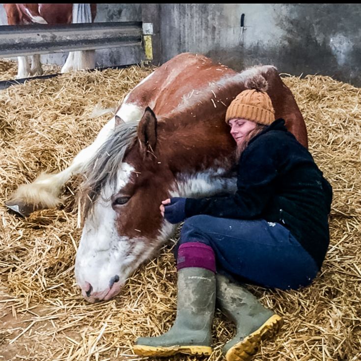 2 Hour Private Meditation Session with Horses for Two product image