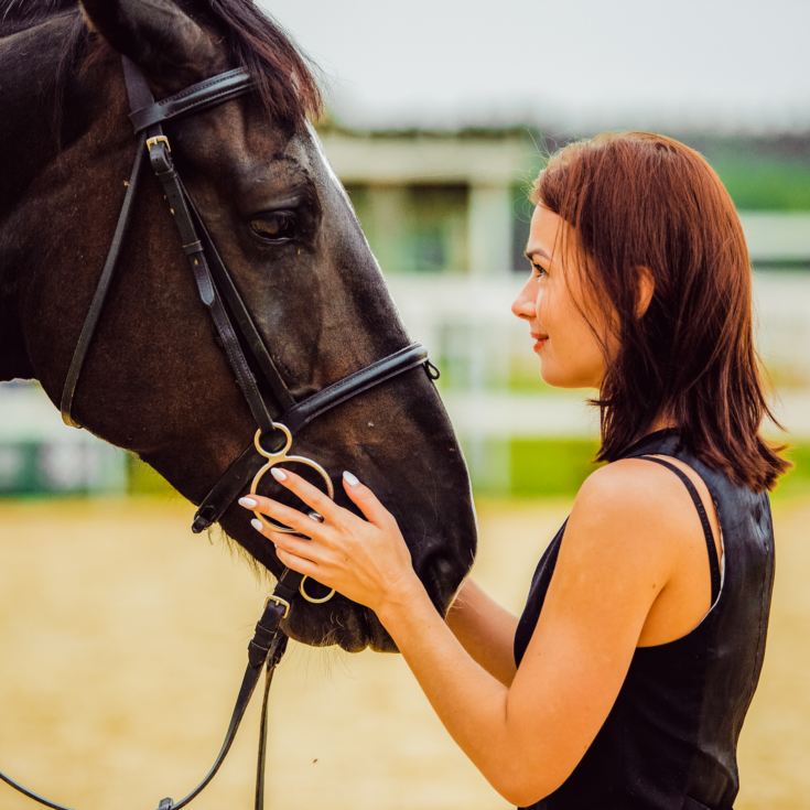 2 Hour Private Meditation Session with Horses for Two product image