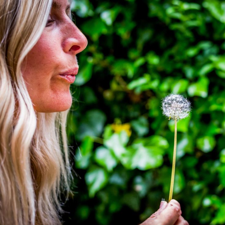 A Day to Focus on Wellbeing at Synergy Experiences product image