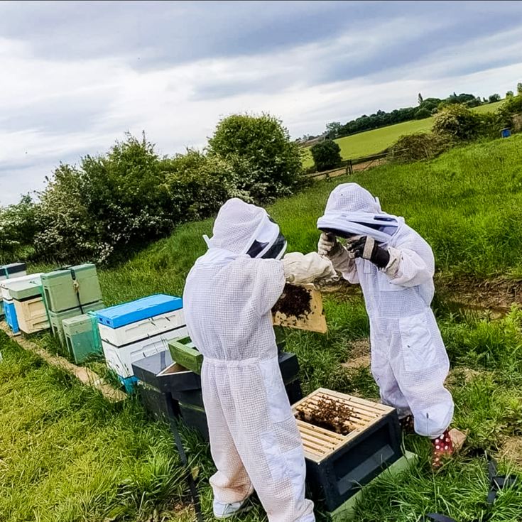Half Day Beekeeping Experience For Two at More Bees Please product image