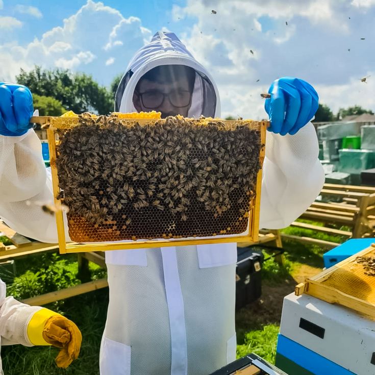 Half Day Beekeeping Experience For Two at More Bees Please product image