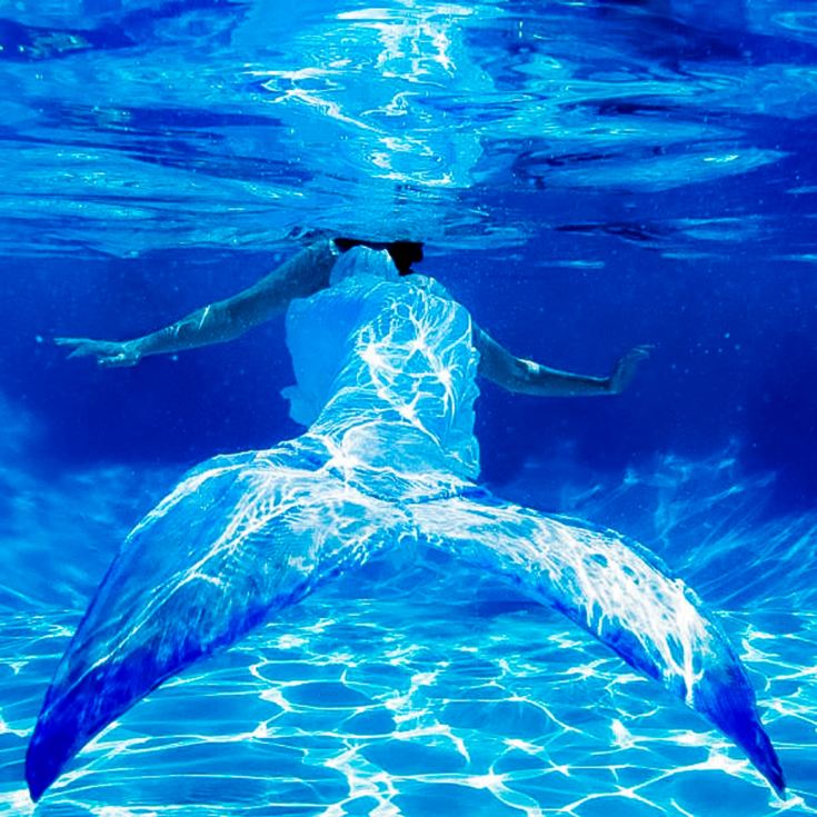 Mermaid Experience For One product image