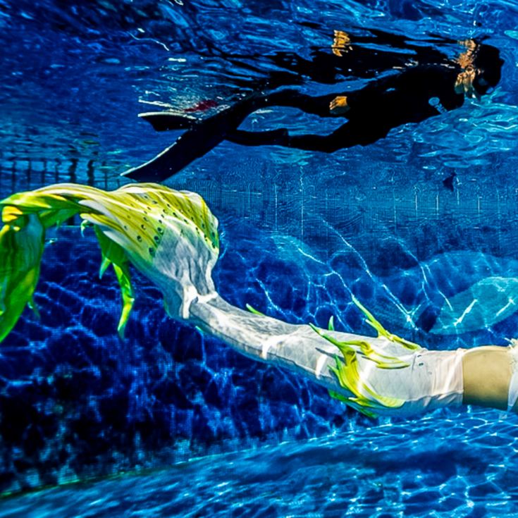 Mermaid Experience For One product image