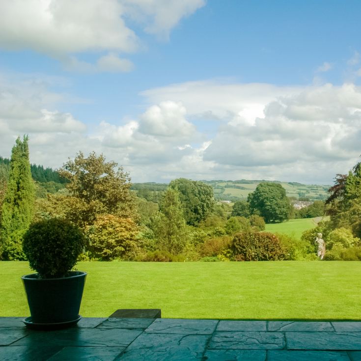 Afternoon Tea for Two at Falcondale Country Hotel product image