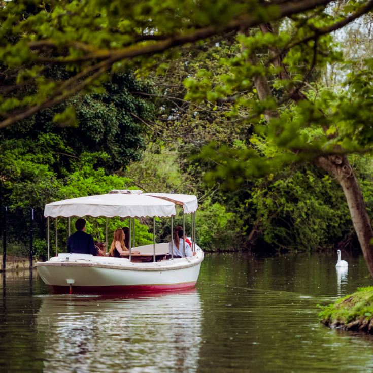 Family River Cruise product image