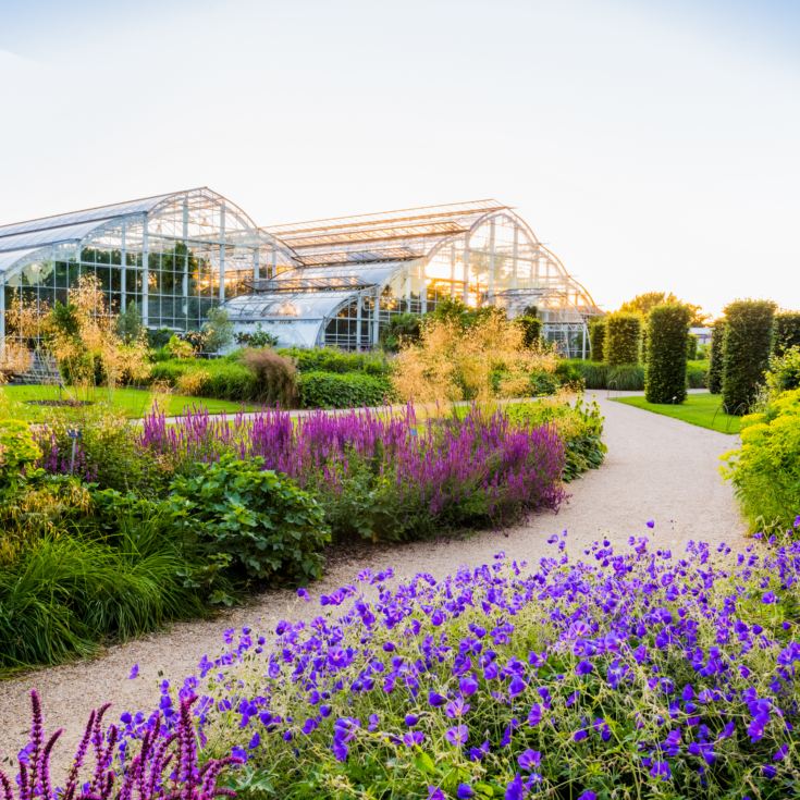 Entrance to RHS Garden Wisley & Afternoon Tea for Two product image