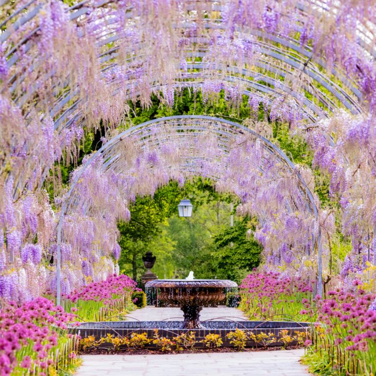 Entrance to RHS Garden Wisley & Afternoon Tea for Two product image