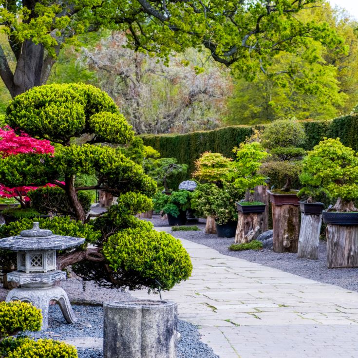 Entrance to RHS Garden Wisley & Afternoon Tea for Two product image