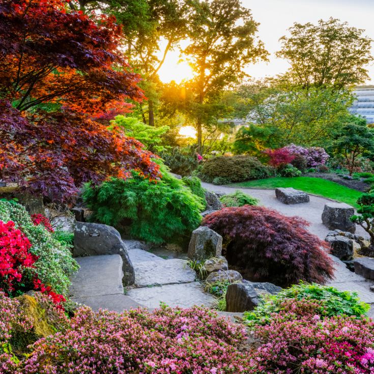 Entrance to RHS Garden Wisley & Afternoon Tea for Two product image