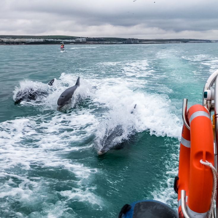 30 Minute Powerboat Ride Experience product image