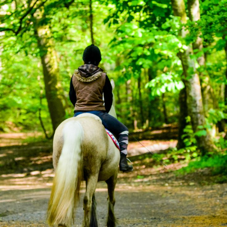 Exmoor Two Night Escape for Two product image