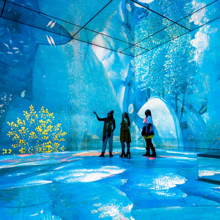 FRAMELESS Immersive Art Experience & 2 Course Meal product image