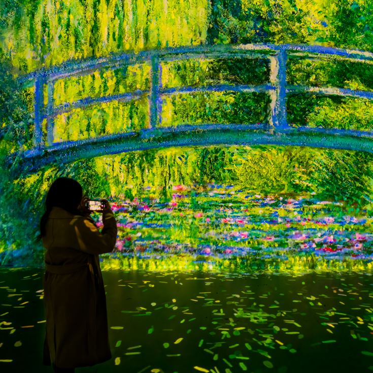 FRAMELESS Immersive Art Experience & 2 Course Meal product image