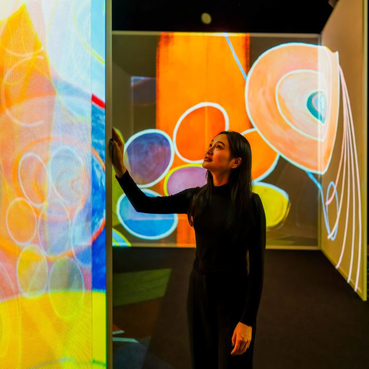 FRAMELESS Immersive Art Experience & 2 Course Meal product image