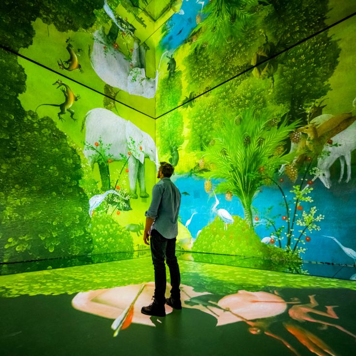 FRAMELESS Immersive Art Experience & 2 Course Meal product image