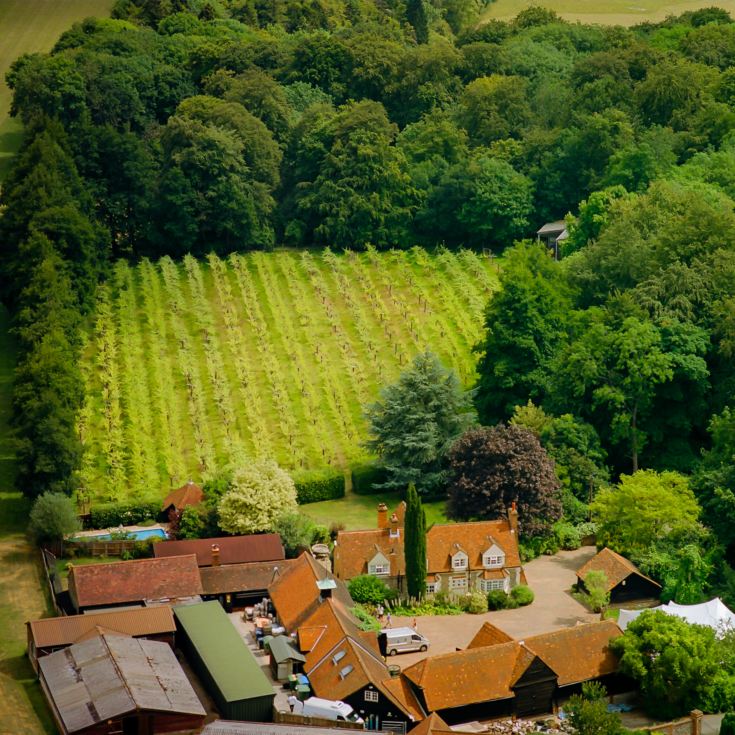 Winery and Brewery Tour with Tasting for Two product image