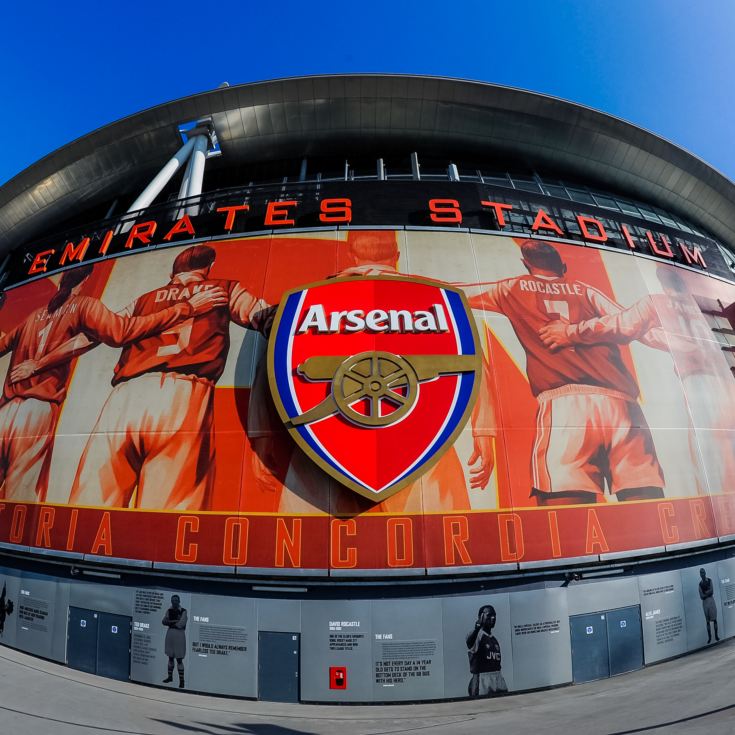 Adult Tour of the Emirates Stadium for Two product image