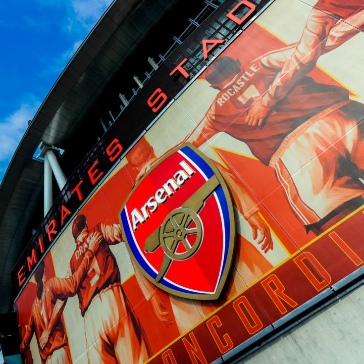 Adult Tour of the Emirates Stadium for Two product image