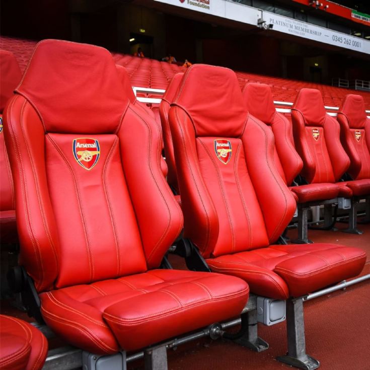 Adult Tour of the Emirates Stadium for Two product image