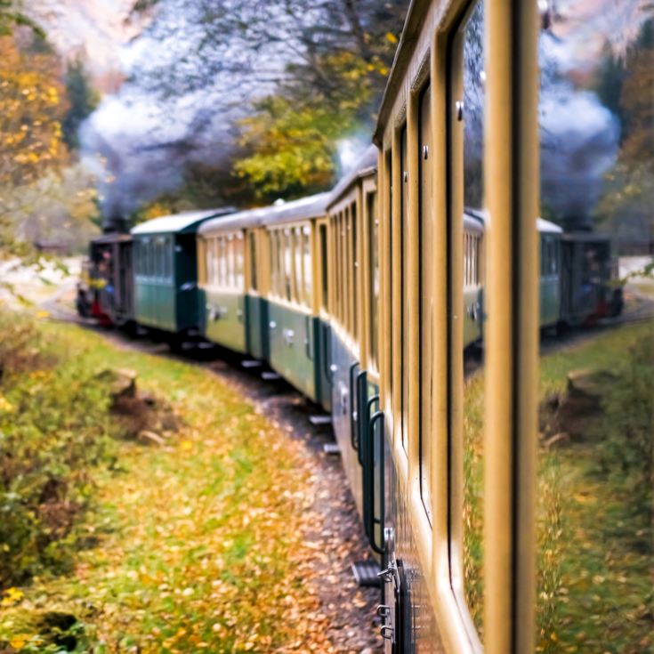 Steam Train Experience for a Family of Four product image