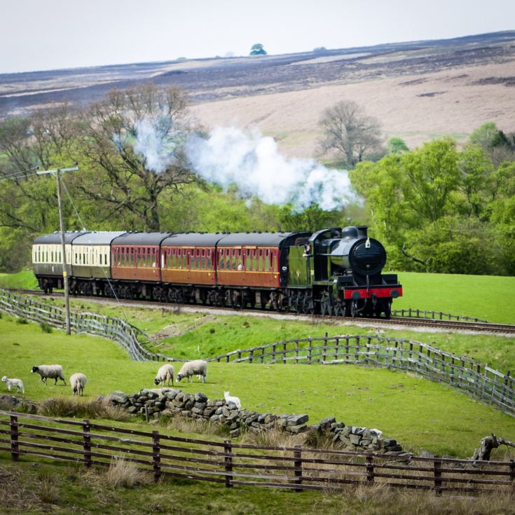 Steam Train Experience for a Family of Four product image