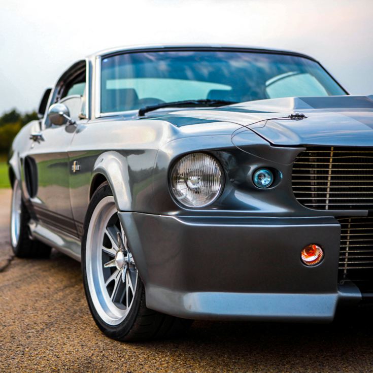 Eleanor Mustang GT500 Experience product image