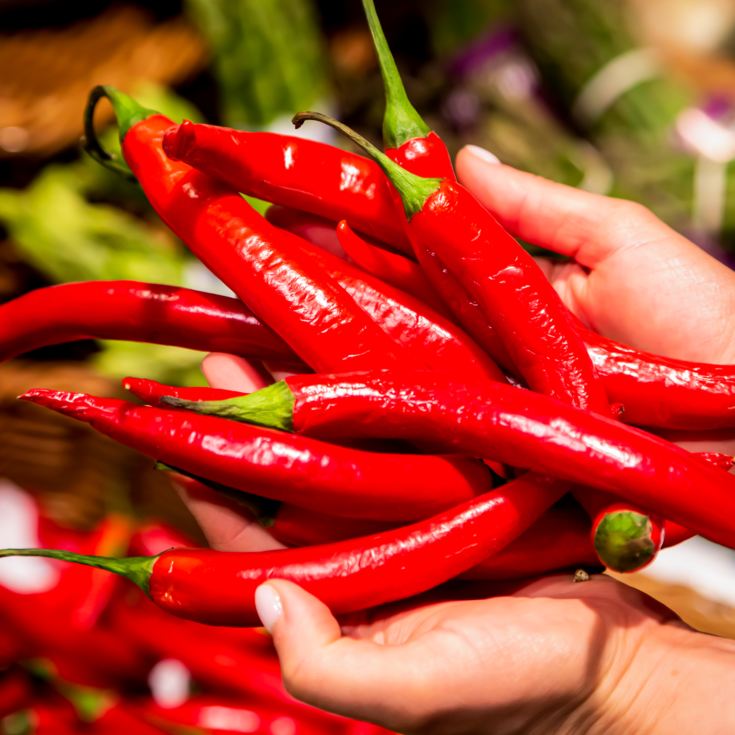 Chilli Experience for Two product image