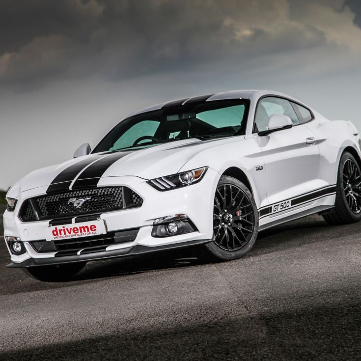 Ford Mustang Blast product image