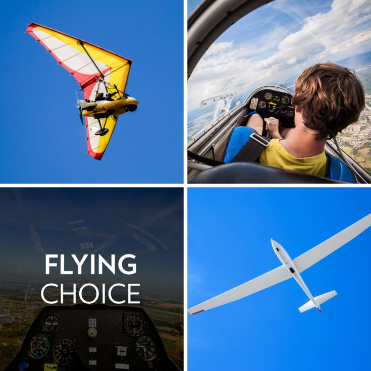 Flying Choice product image