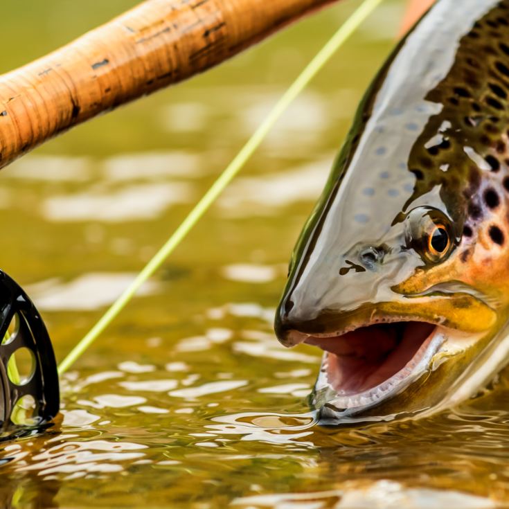 Fly Fishing product image