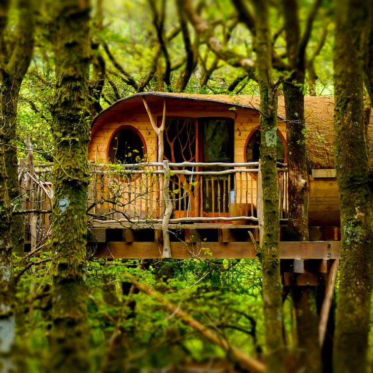 Two Night Tree House Escape for Two product image