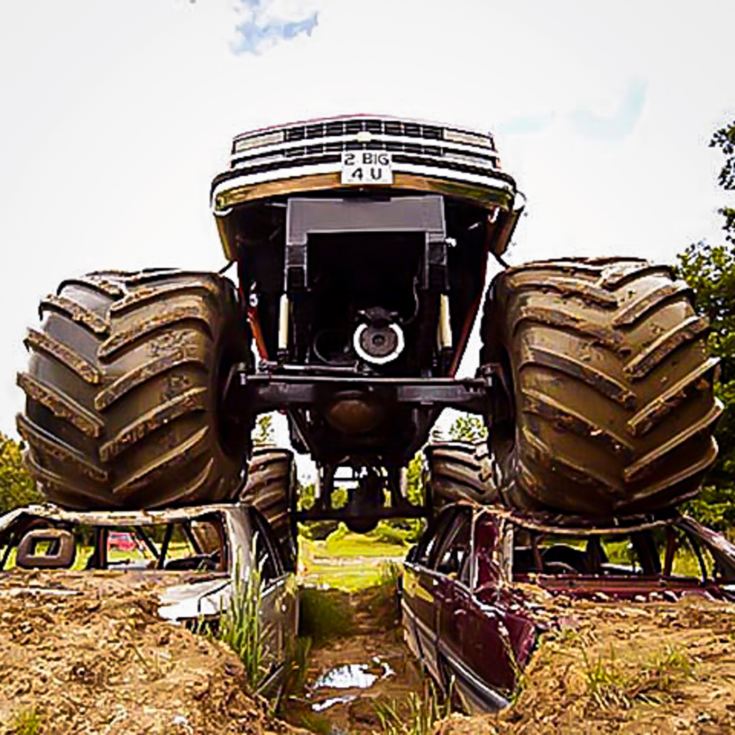 American Monster Truck product image