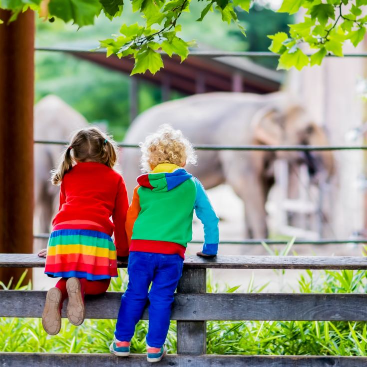 Family Entrance to Dudley Zoo product image