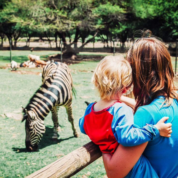 Family Entrance to Dudley Zoo product image