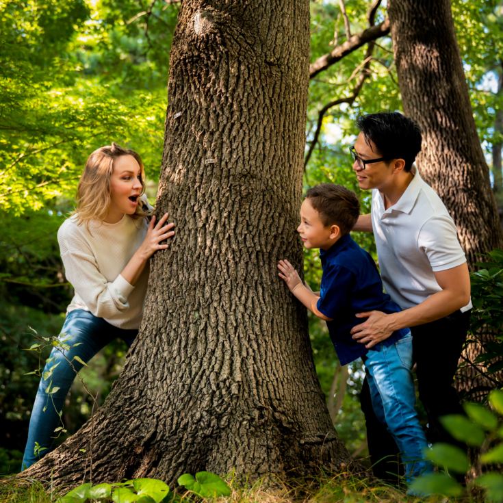 Two Night Family Tree House Escape product image