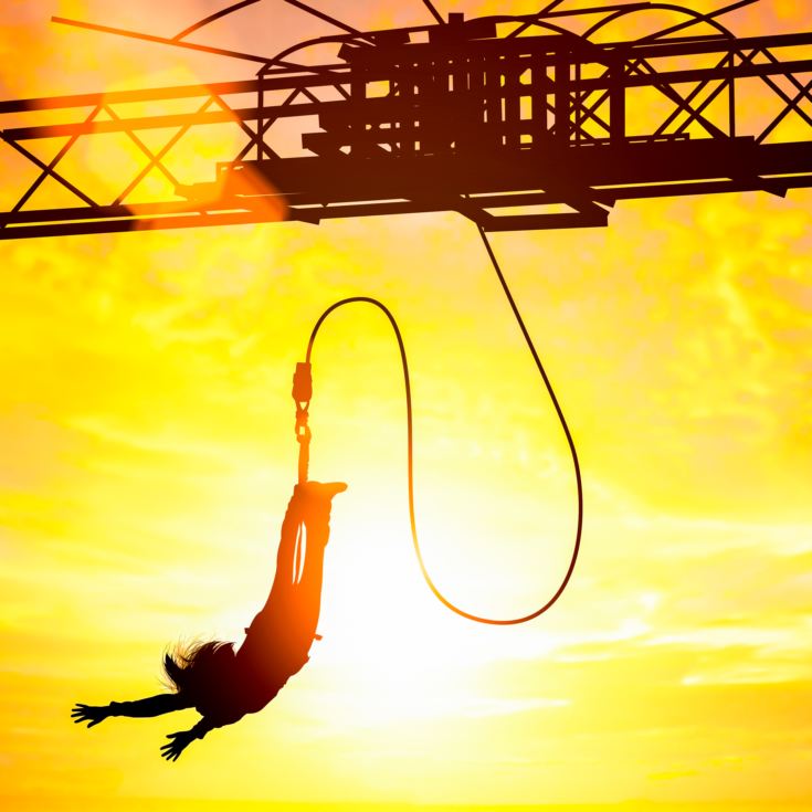 Bungee Jump for Two product image