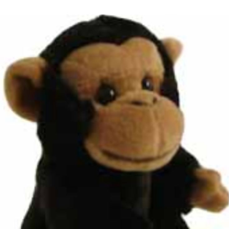 Baby Chimpanzee product image