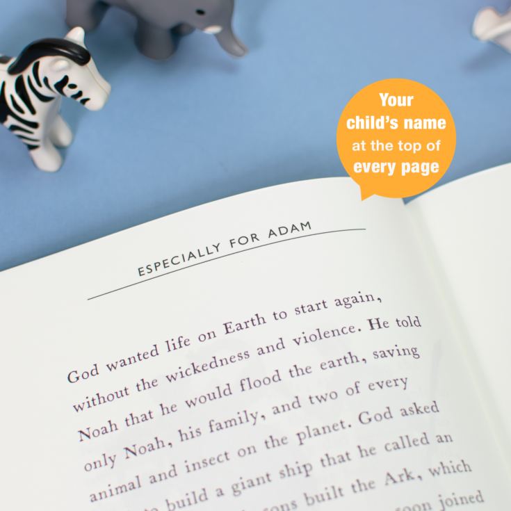 Personalised Children’s Bible Stories product image