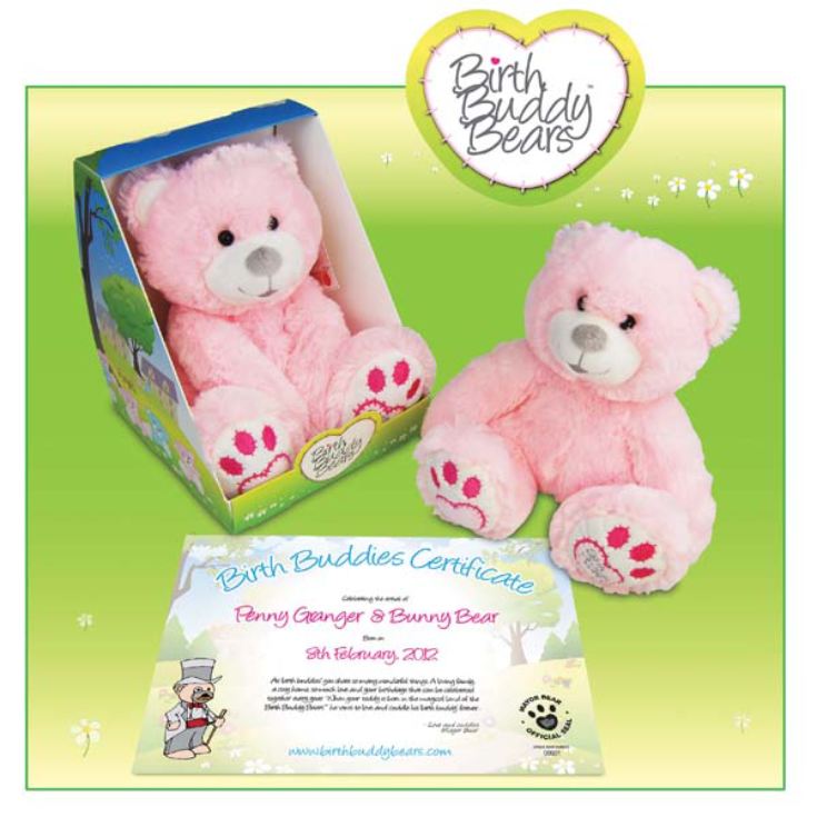 Birth Buddy Teddy Bears The Gift Experience